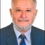 محسن محمد صالح