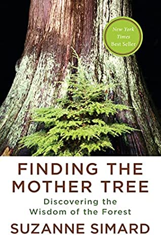 Finding the Mother Tree
