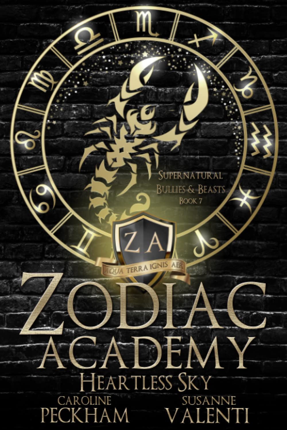 Heartless Sky (Zodiac Academy #7)