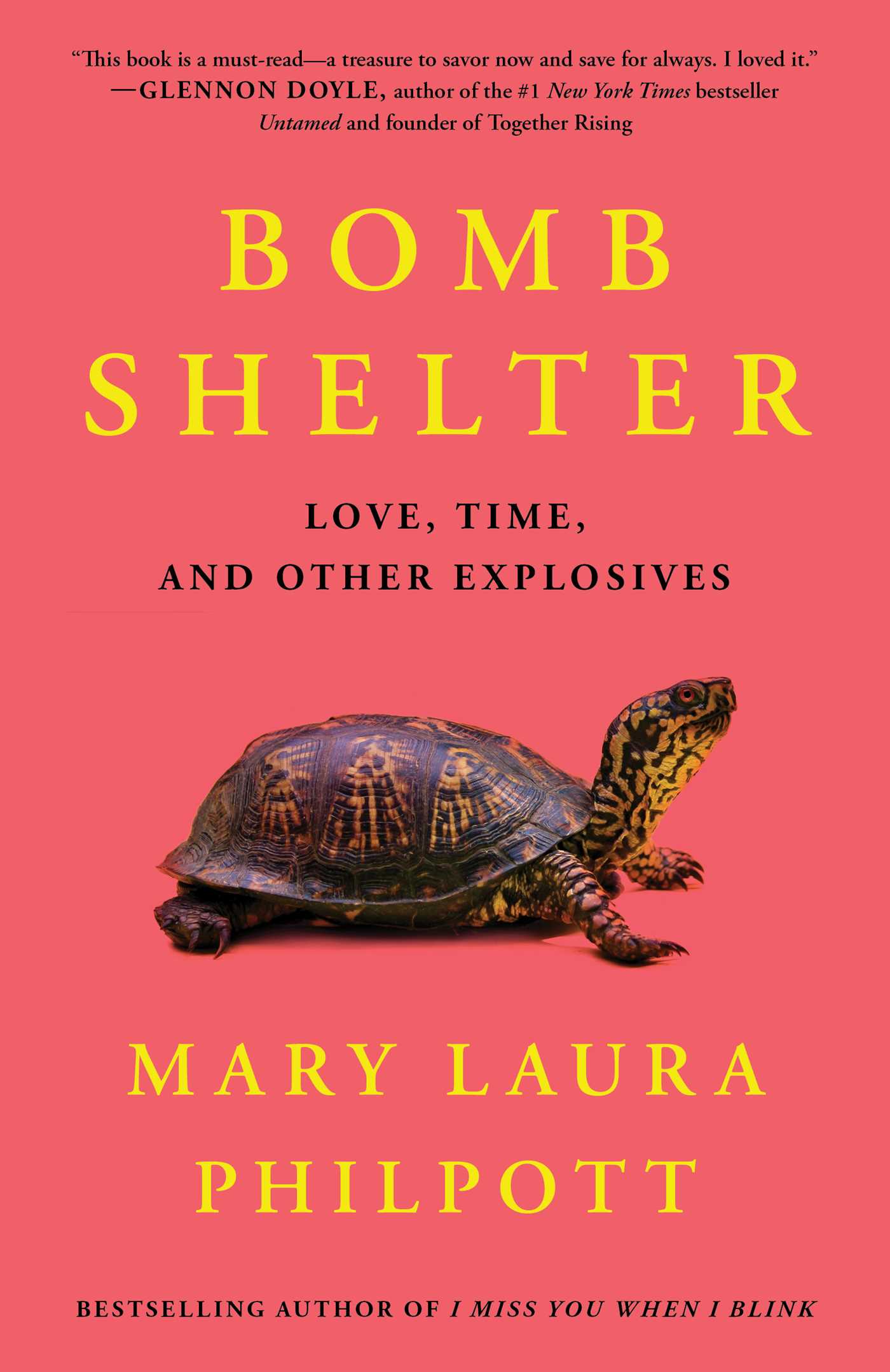 Bomb Shelter by Mary Laura Philpott