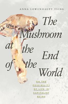 The Mushroom at the End of the World #4