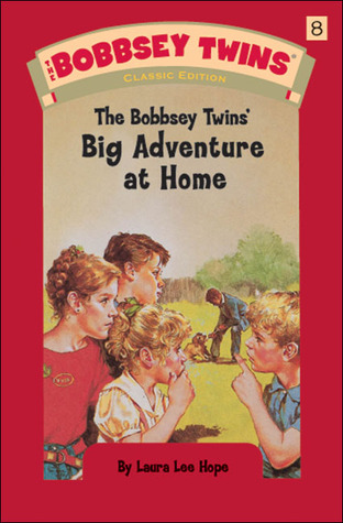 The Bobbsey Twins' Big Adventure at Home #8